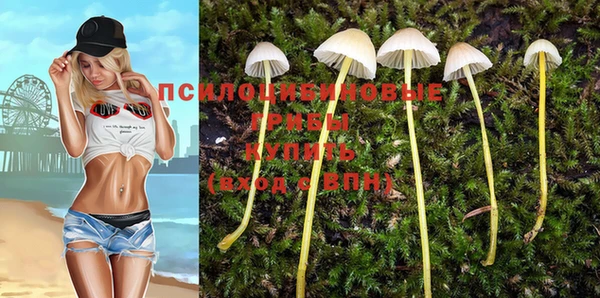таблы Алзамай