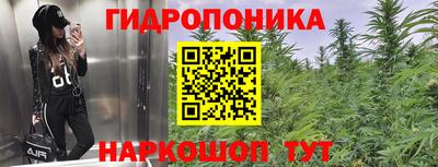 spice Краснознаменск