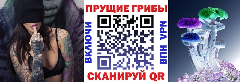 магазин продажи   Кулебаки  Псилоцибиновые грибы MAGIC MUSHROOMS 