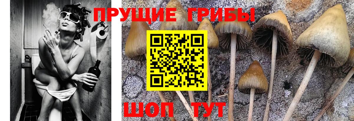 Галлюциногенные грибы прущие грибы Кулебаки